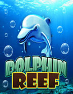 วิธีเล่น สล็อต พุ ช ชี่ แบบมืออาชีพบอกเลยง่ายโคตร